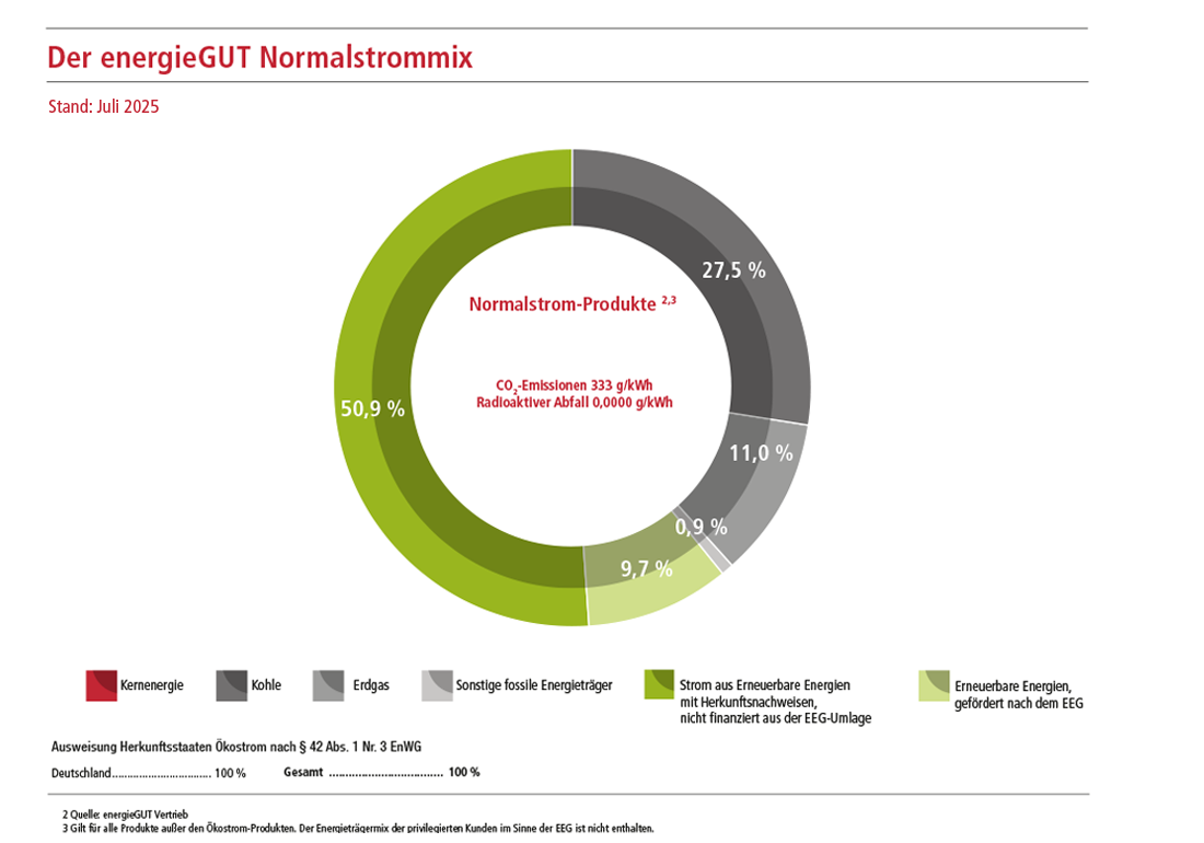 Stromkennzeichnung - Strommix Normalstromprodukte
